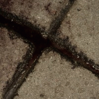 To The Grave : Axe of Kindness